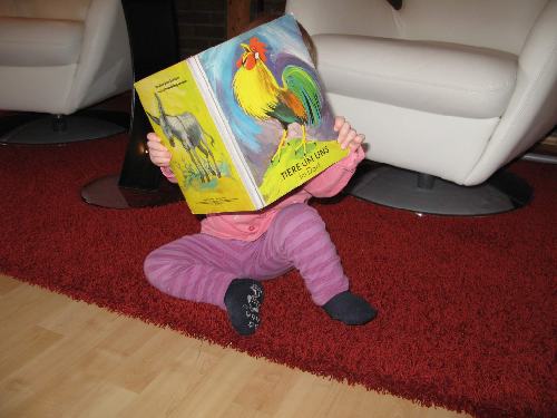 Kinder stehen auf Tiere.
So lässt sich das Interesse für Bücher wecken